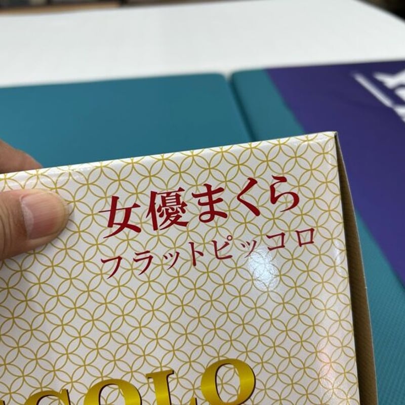 マニフレックスのフラットピッコロ | （有）野田ふとん店