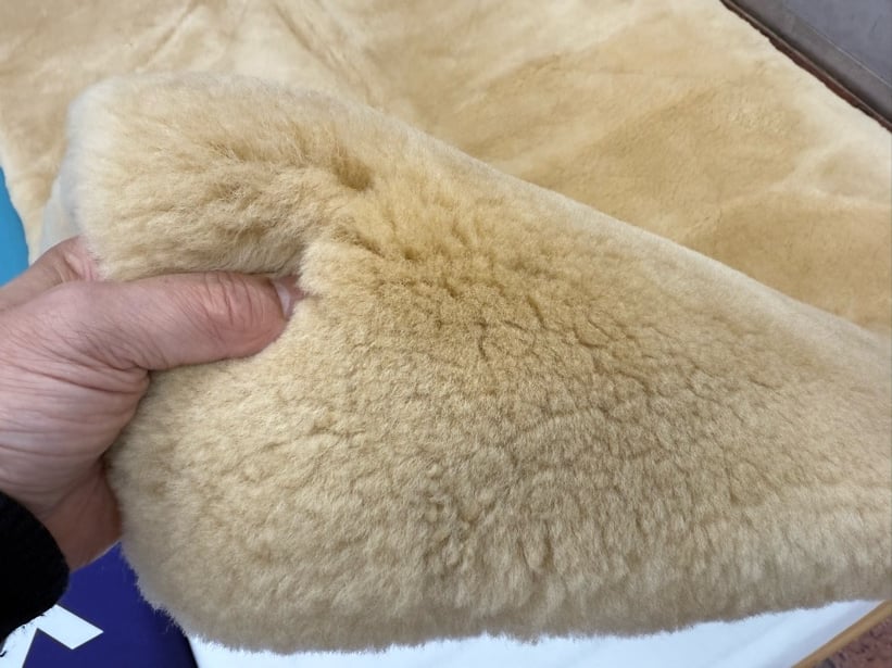 マスダ製 ムートンシーツ 毛長25mm （シングルサイズ） | （有）野田