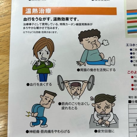 温熱と電位治療の敷きふとん　エコホット（シングルサイズ）　専用シーツ付き