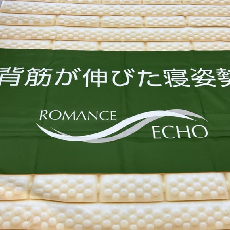 ロマンスエコー（ダブルサイズ）専用シーツ付き | （有）野田ふとん店