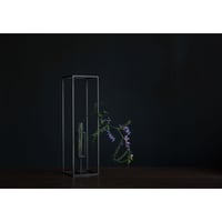 花器　frame