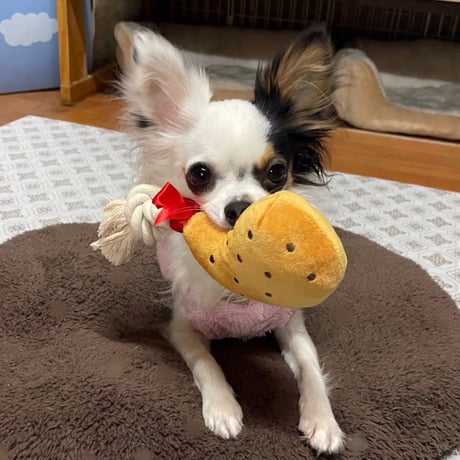 ピーピーTOY・ローストチキン
