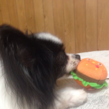 ピーピーTOY（ハンバーガー）