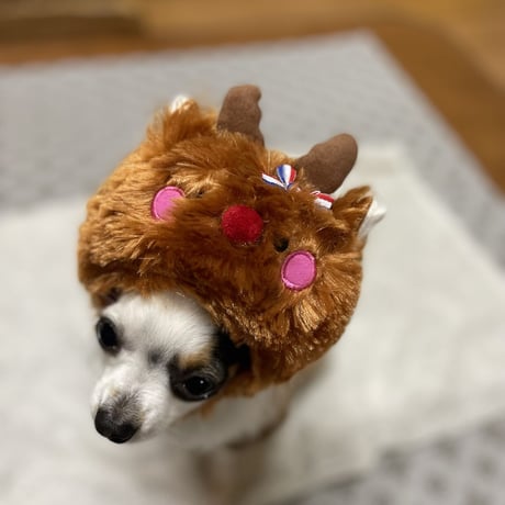 トナカイ帽子