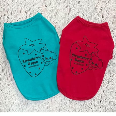 SWオリジナルTシャツ