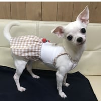 SWオリジナルクール素材キャミワンピＡさくらんぼ
