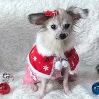 リバーシブル・クリスマスケープ