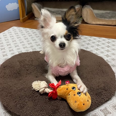 ピーピーTOY・ローストチキン