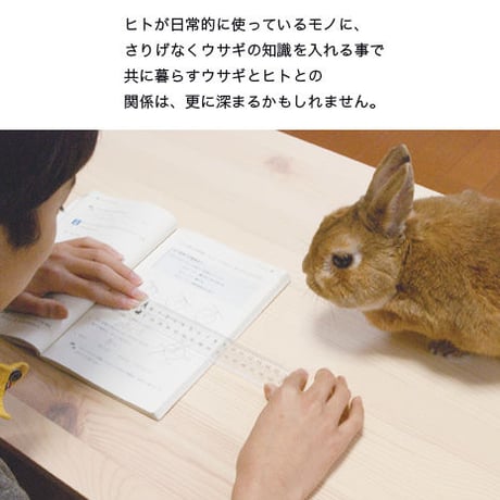 ウサギメモリ / 全国一律料金/ ポスト投函