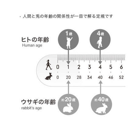 受験生応援！サクラが咲きます様に！ ウサギメモリ• サクラ