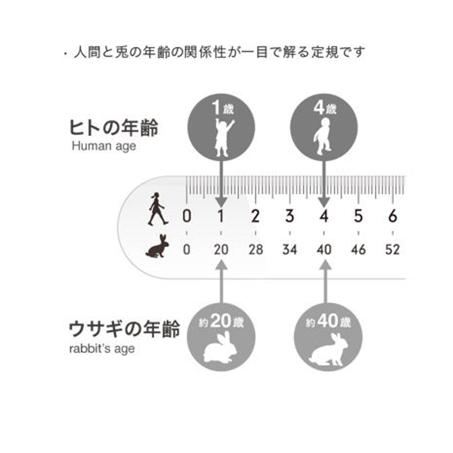 543e6760552f2ff8e800078c