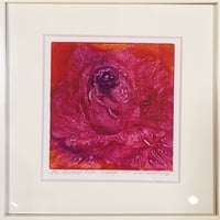 アートプリント・シリーズ "One hundred rose - 031 Rose-Orange Pink"