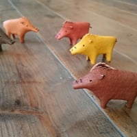 島シシオブジェ 成獣