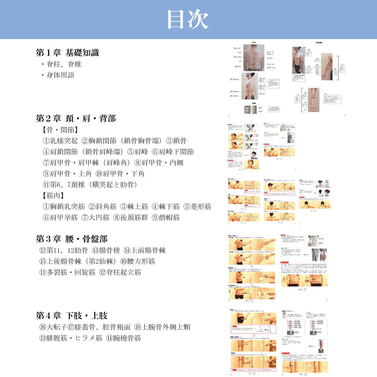 【ＤＶＤ】実践に役立つ解剖学　PART2 実践トリートメント～頭痛、肩痛、腰痛～ DVD】実践に役立つ解剖学 PART2 実践トリートメント～頭痛