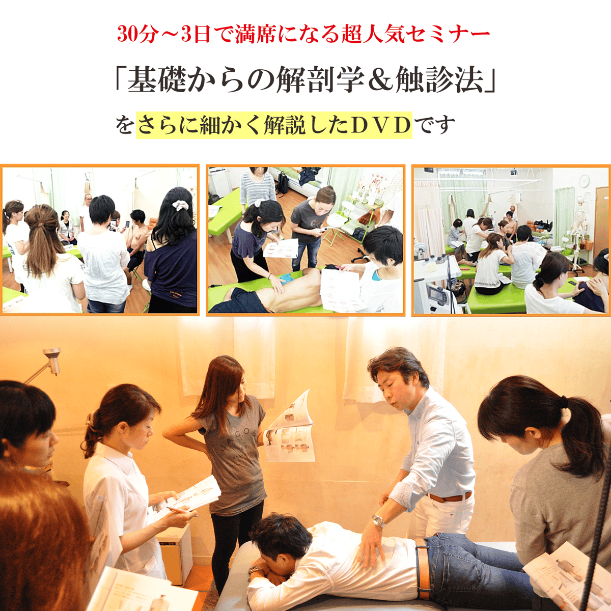 【ＤＶＤ】実践に役立つ解剖学　PART2 実践トリートメント～頭痛、肩痛、腰痛～ DVD】実践に役立つ解剖学 PART2 実践トリートメント～頭痛