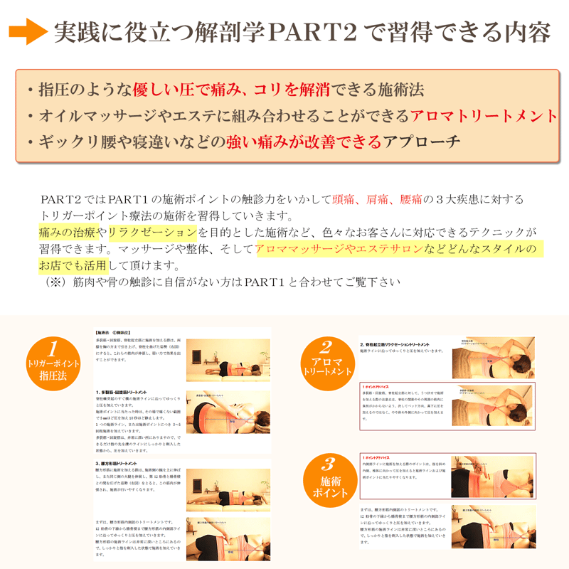 【ＤＶＤ】実践に役立つ解剖学　PART2 実践トリートメント～頭痛、肩痛、腰痛～ DVD】実践に役立つ解剖学 PART2 実践トリートメント～頭痛