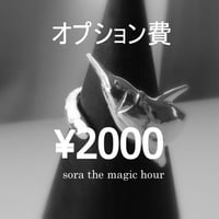 オプション費　2000円