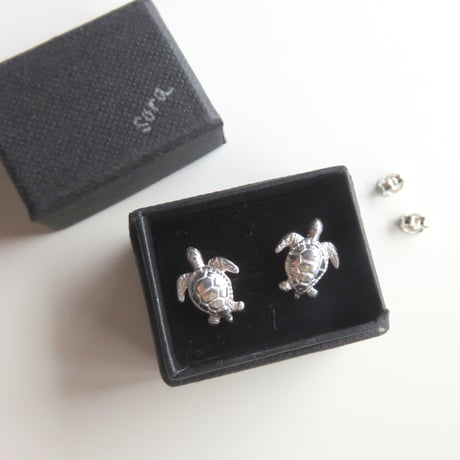アオウミガメ ポストピアス　green turtle
