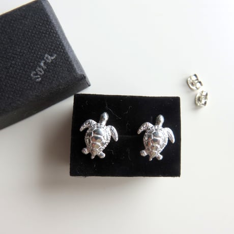 アオウミガメ ポストピアス　green turtle