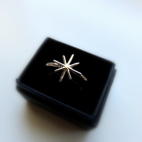 snow crystal　スターリング 　K10【受注生産】