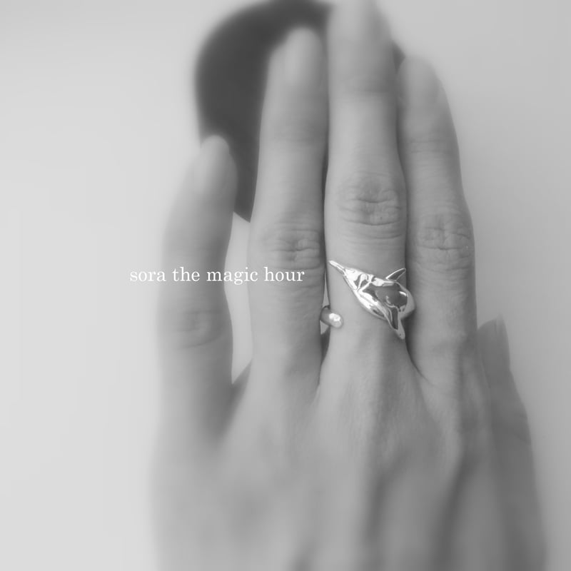 ペンギンの赤ちゃん【新品】アナスイ　リング　指輪　LLサイズ　皇帝ペンギン　海 ペンギンの赤ちゃん【新品】アナスイ リング 指輪 LLサイズ 皇帝