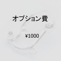 オプション費　1000円
