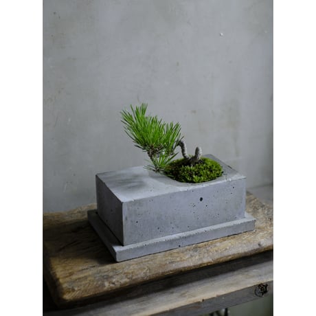 黒松 | STORES
