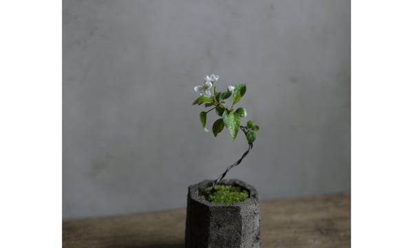 saku-botanicalworks