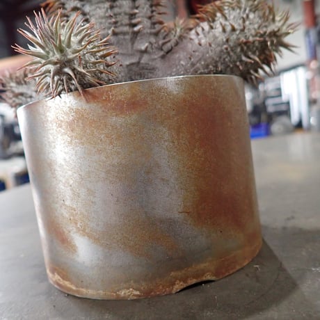 REW10 POTAL STAINLESS POT　径216㎜ x 高さ130㎜
