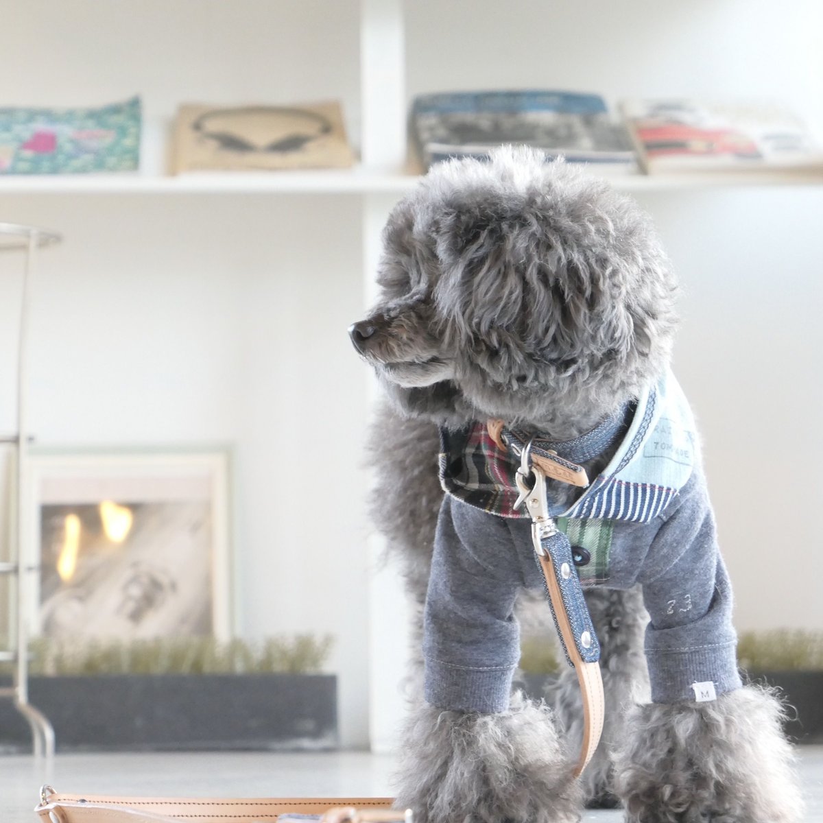 ヴィンテージデニム♪首輪 | maronco