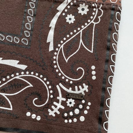 FNTY/ ２TONE HAND STITCHING PAISLEY Tshirts "BROWN"