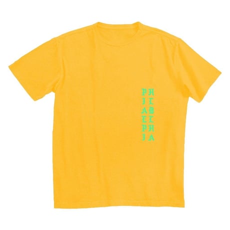 PABLO Tour/I Feel Like PABLO official Tshirt