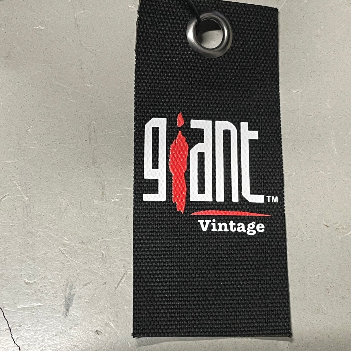 Lenny Kravitz × Giant Vintage official Tee | BI