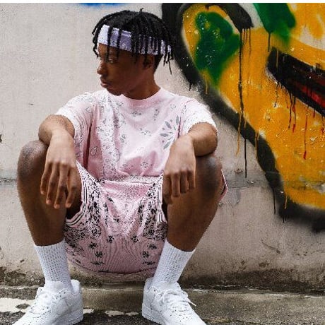 FNTY/ ２TONE HAND STITCHING PAISLEY Tshirts "PINK"