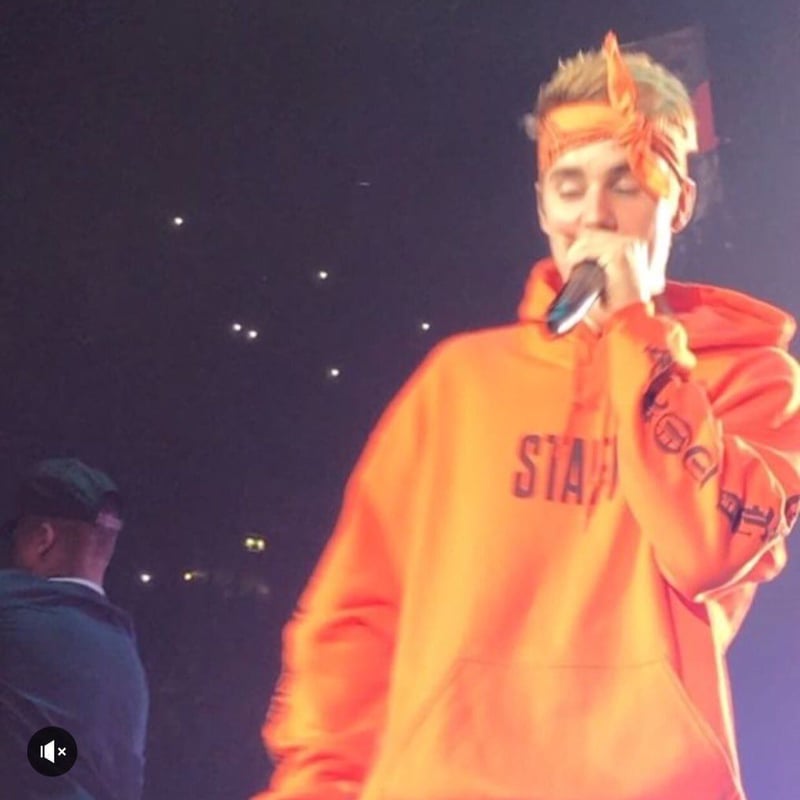 【美品】ジャスティンビーバー★BIEBER★STAFF★薄手★フーディ★パーカー Purpose tour/Justin bieber official STAFF フーディー