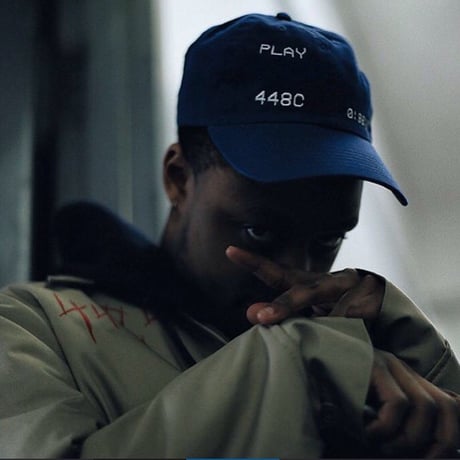 448C/VHS CAP