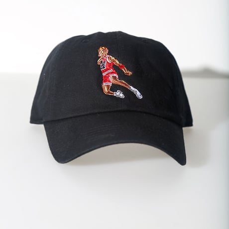 Iridium Clothing /Take Flight Dad hat