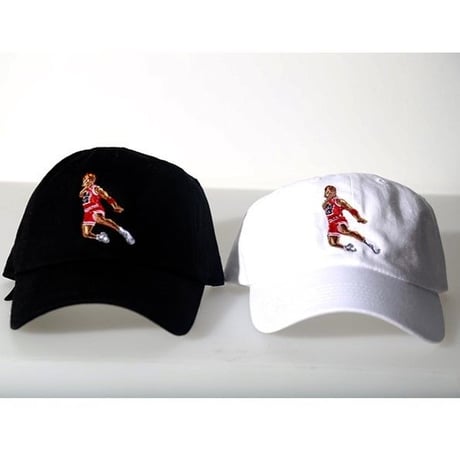 Iridium Clothing /Take Flight Dad hat