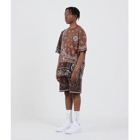 FNTY/ ２TONE HAND STITCHING PAISLEY Tshirts "BROWN"