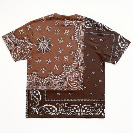 FNTY/ ２TONE HAND STITCHING PAISLEY Tshirts "BROWN"