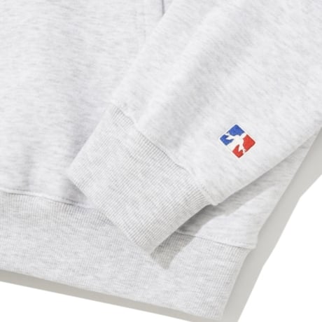 SAINT PAIN/Saint twotone Hoodie "GRAY"