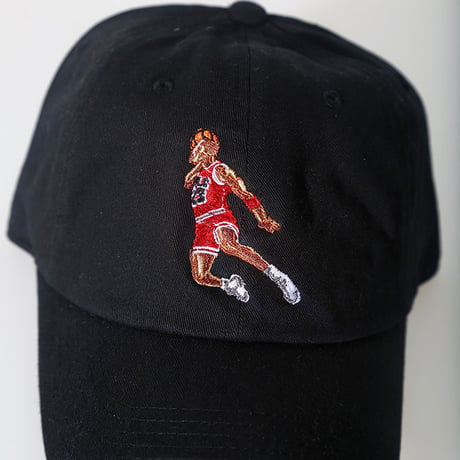 Iridium Clothing /Take Flight Dad hat