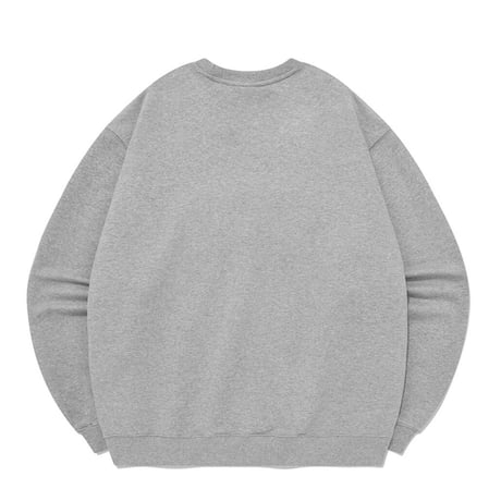 SAINT PAIN/STP Crewneck GRAY