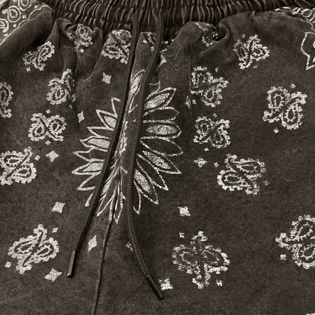 Mismatch NYC/BANDANA Canvas Shorts  WashBlack