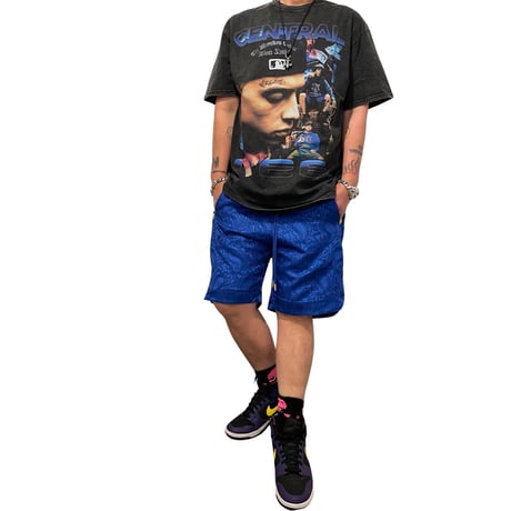 Mismatch NYC/Paisley Shorts  BLUE