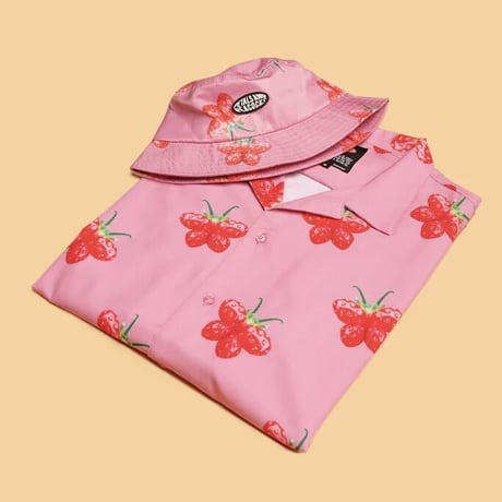 Petals and Peacocks / strawberry butterfly Hat