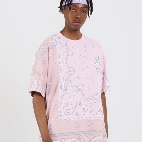 FNTY/ ２TONE HAND STITCHING PAISLEY Tshirts "PINK"