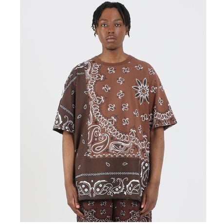FNTY/ ２TONE HAND STITCHING PAISLEY Tshirts "BROWN"