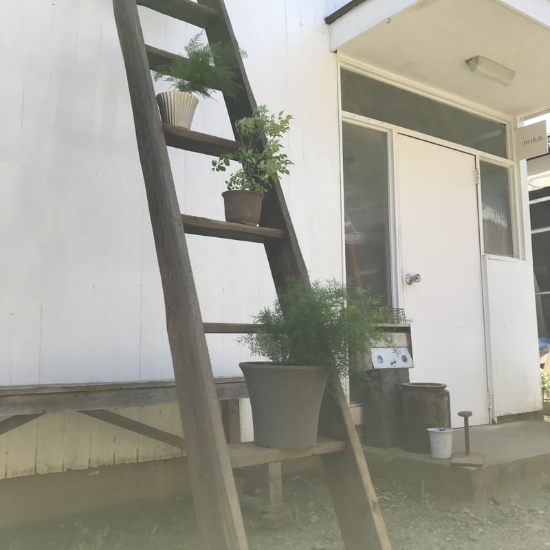 古いはしご 棚 全長295㎝ ディスプレイに / ie22_170 | 古道具