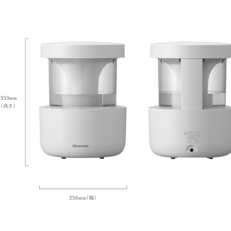 MIST 300